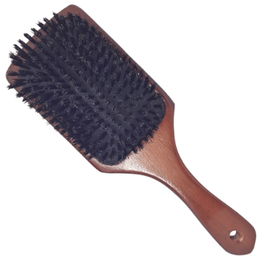 TBC Boar Bristle disc brush with boar bristles - Hair Styling tool